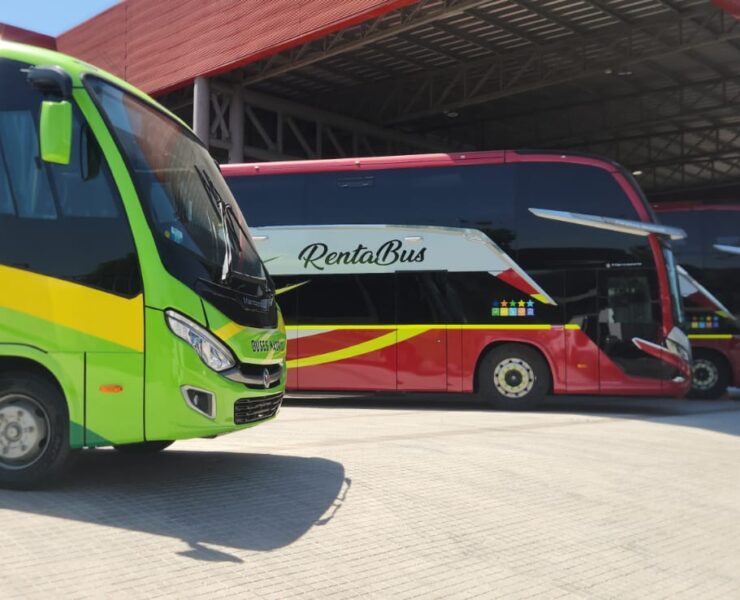 WhatsApp Image 2025-06-20 at 17.25.27